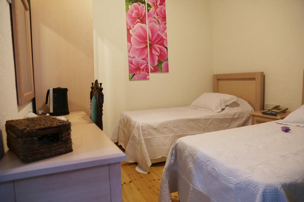 Cypriot Swallow Boutique Hotel Nicosia Bilik gambar